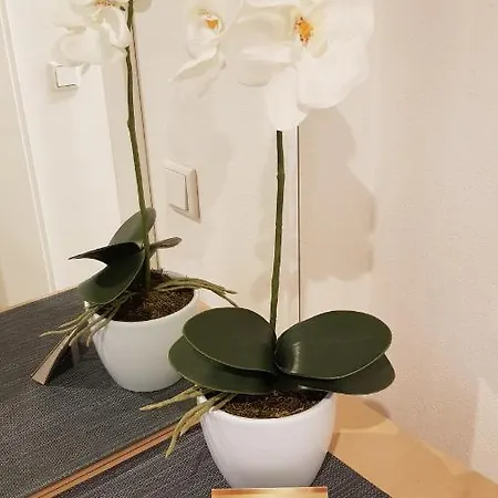 Apartmenthaus Unterweger *